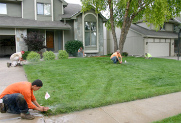 The Definitive Guide for Lawn Irrigation System